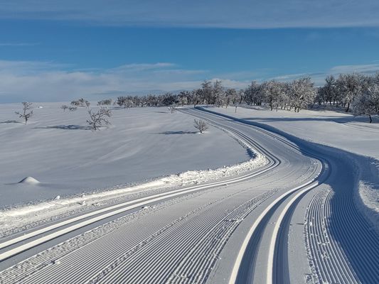 Mysig liten stuga - Bild 23