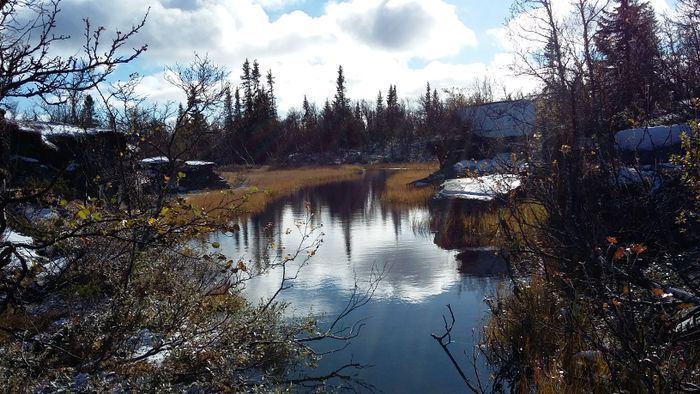 Mysig liten stuga - Bild 35