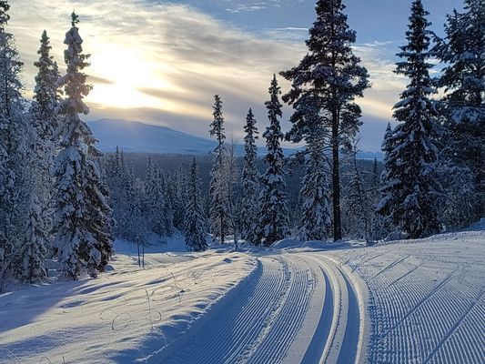 Mysig liten stuga - Bild 24