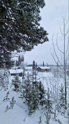 NorrskensRo - Bild 21