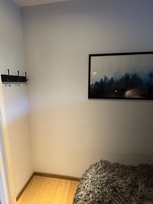 Lyxig lägenhet ski in/out, öppen spis, bastu - Bild 30