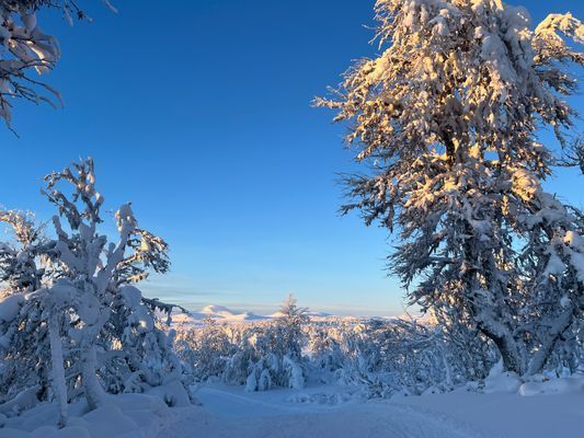 Mysig välutrustad stuga med bra läge - Bild 23