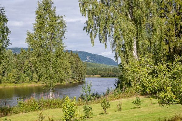 Gård vid Klarälven - bara 10 minuter från Branäs - Bild 12