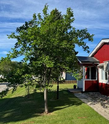 Fint, bekvämt och centralt hus i Höga Kusten - Bild 21