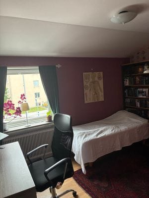 STOR FIN LGH till BARNFAMILJ MEDELTIDSVECKAN - Bild 7