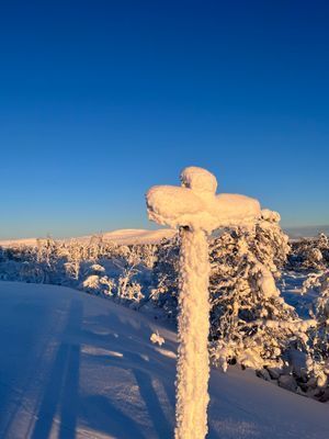 Mysig välutrustad stuga med bra läge - Bild 21