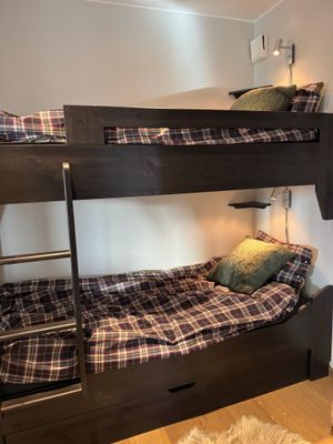 Lyxig lägenhet ski in/out, öppen spis, bastu - Bild 33