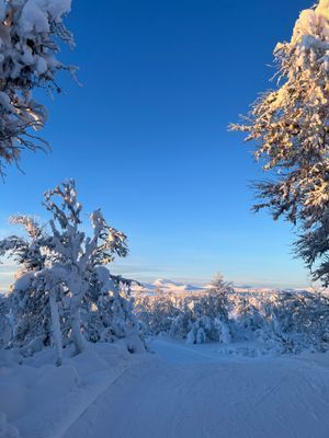 Mysig välutrustad stuga med bra läge - Bild 22