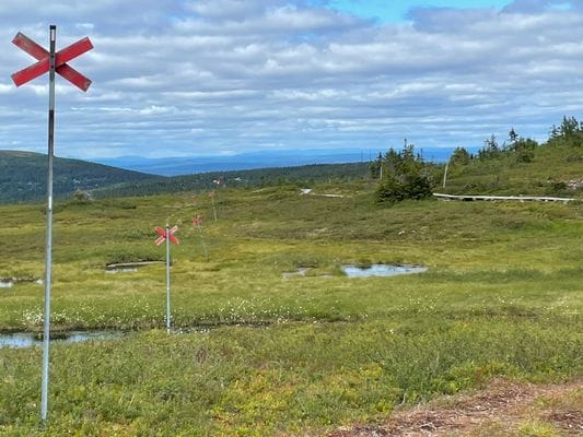 Stuga vid Fejmån - nära Kläppen, Sälen & fjället - Bild 11