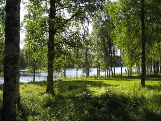 Näset - Bild 9