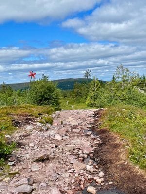 Stuga vid Fejmån - nära Kläppen, Sälen & fjället - Bild 12