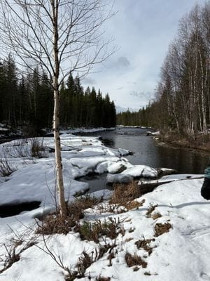 Stuga vid Fejmån - nära Kläppen, Sälen & fjället - Bild 13