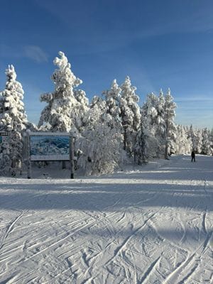 Stuga vid Fejmån - nära Kläppen, Sälen & fjället - Bild 14
