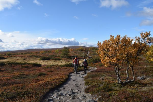 Mysig liten stuga - Bild 39