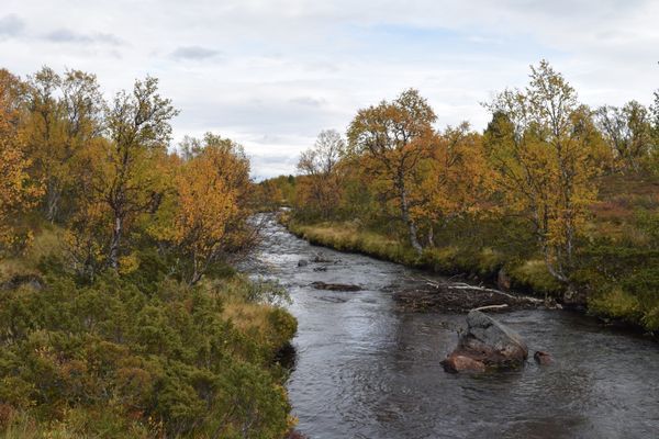 Mysig liten stuga - Bild 38