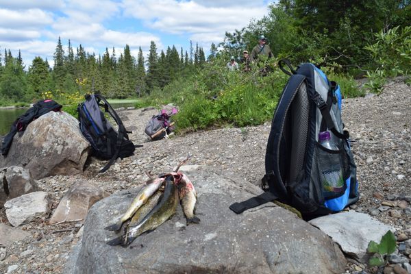 Mysig liten stuga - Bild 31