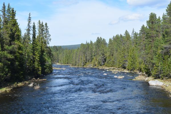 Mysig liten stuga - Bild 30