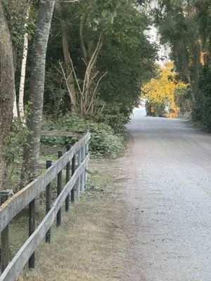 Charmig stuga ett stenkast från Hertastranden - Bild 8