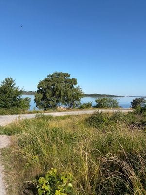 Mysig stuga vid hav och skärgårdsbåtar! - Bild 24