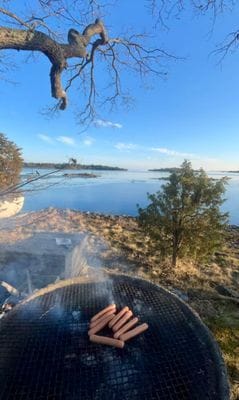Mysig stuga vid havet med egen badbrygga - Bild 8