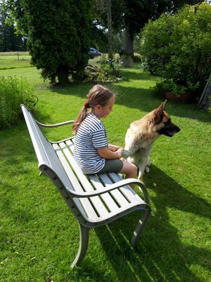 Naturskön och lantlig idyll mellan sjöar. - Bild 41