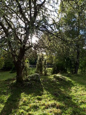Naturskön och lantlig idyll mellan sjöar. - Bild 34