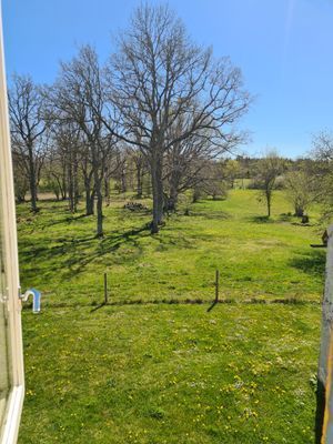 Charmigt Gotlandshus i vacker miljö - Bild 18