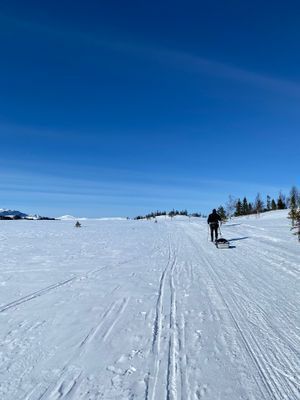 Ottsjö