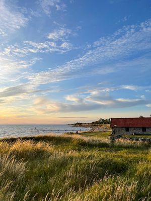 Insynsskyddad stuga i Djupvik/Lofta med stor tomt. - Bild 12