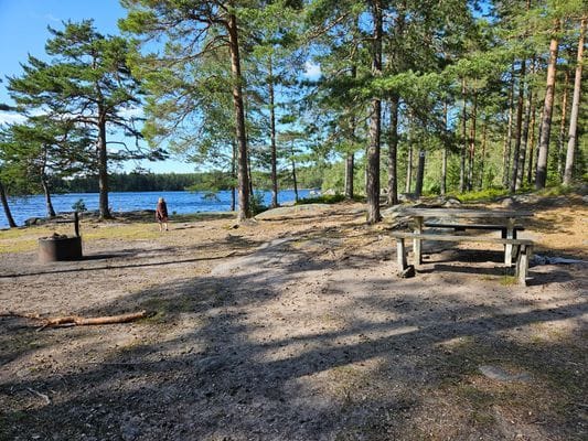 Naturnära boende nära Kolmårdens Bastu & Badtunna - Bild 25