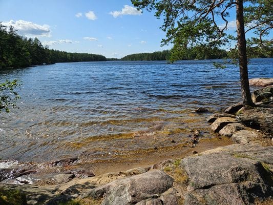 Naturnära boende nära Kolmårdens Bastu & Badtunna - Bild 23