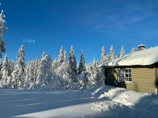 Två stugor i Hemfjällstangen - Bild 4