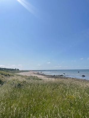 Stuga med havsutsikt – 100 m till stranden - Bild 31