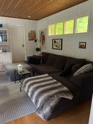 Sjönära stuga vid sjön Tolken - Bild 19