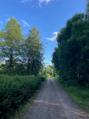 Enskilt vid skogen - Bild 5