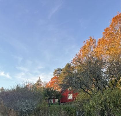 Bogsta By – Historisk Sörmlandsgård med sjöutsikt - Bild 73