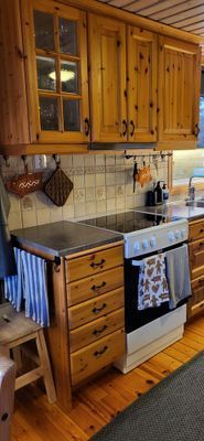 Stuga med kamin och riktig fjällkaraktär - Bild 32