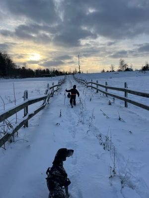 Bogsta By – Historisk Sörmlandsgård med sjöutsikt - Bild 72