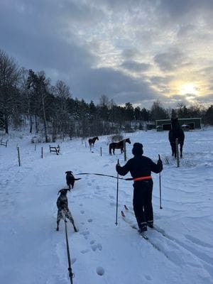 Bogsta By – Historisk Sörmlandsgård med sjöutsikt - Bild 74