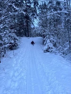 Bogsta By – Historisk Sörmlandsgård med sjöutsikt - Bild 14