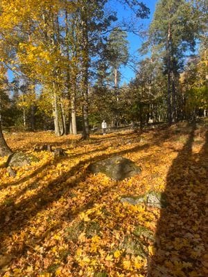 Bogsta By – Historisk Sörmlandsgård med sjöutsikt - Bild 5