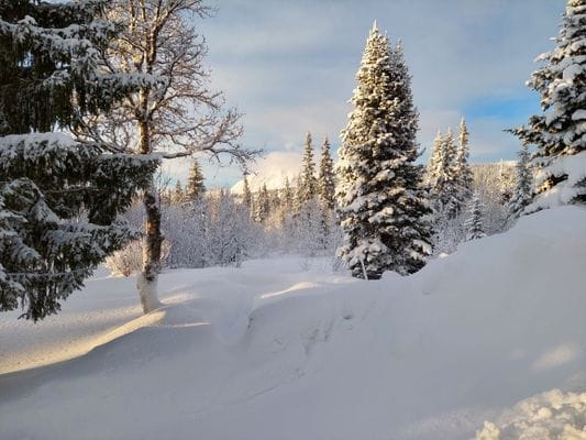 Charmig Stuga på Orrvägen 606 i Borgafjäll - Bild 3