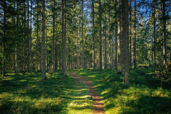 Stort hus ute på en fin Ö nära Vänern - Bild 6