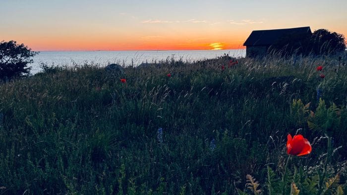Sommardrömmen vid havet - Bild 2
