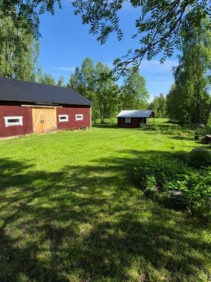 Mysig timmerstuga i naturskön miljö - Bild 8