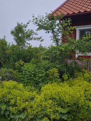 Kålgårdsstugan - Bild 3