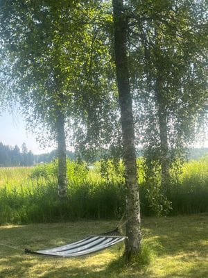 Sjönära fritidshus i lugna omgivningar - Bild 3