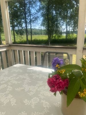 Sjönära fritidshus i lugna omgivningar - Bild 2