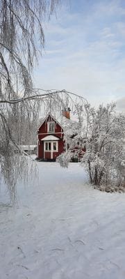 Hos grannarna - Bild 9