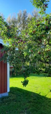 Hos grannarna - Bild 4